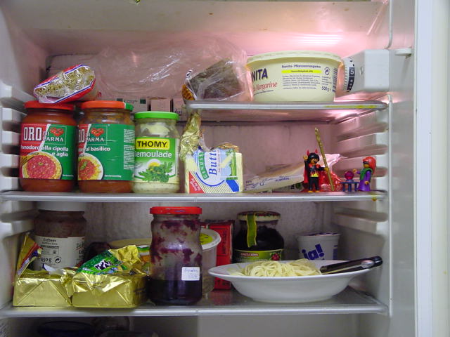 die Kühlschrankwächter